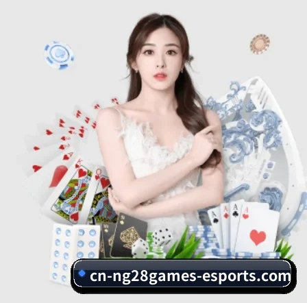 我们在做什么 - NG28